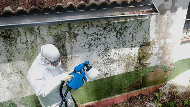 Trusted Attic Mold Removal service in Melfa, VA - Cheap Mold Removal